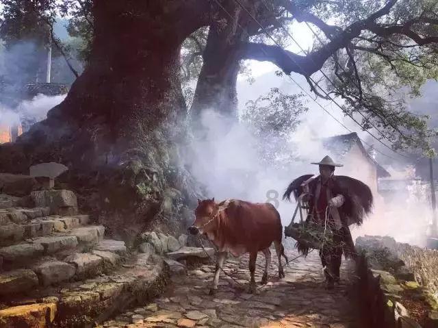 对老公的新鲜感早就过了,虽然日子很平淡也没有小吵小闹,也没有原则上的问题,但是我总觉得我不爱他了?知识星球-深入了解对老公的新鲜感早就过了,虽然日子很平淡也没有小吵小闹,也没有原则上的问题,但是我总觉得我不爱他了?的专业平台